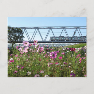 Keisei Trein: Edogawa, Tokio Briefkaart