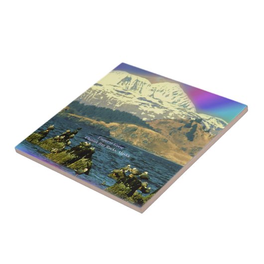 keizer Geese op de baai van Chiniak bij Chiniak, A Tegeltje (Zijkant)