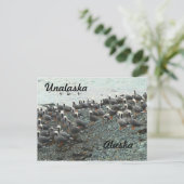 keizer Geese op het strand Briefkaart (Staand voorkant)