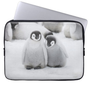 keizer Penguin Chicks on Ice in Antarctica Laptop Sleeve