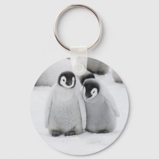 keizer Penguin Chicks on Ice in Antarctica Sleutelhanger (Voorkant)