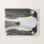 keizer pinguïns met chick - puzzel legpuzzel (Horizontaal)