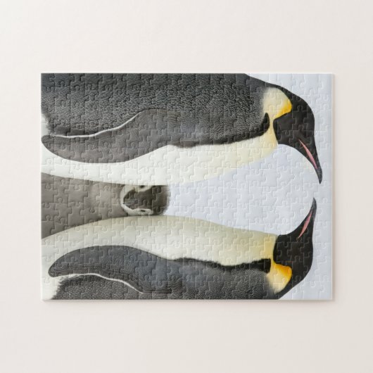 keizer pinguïns met chick - puzzel legpuzzel (Horizontaal)