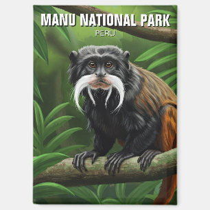 Keizer Tamarin in het Nationaal Park Manu Magneet