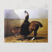 Keizerin Elisabeth rijdend paard sidesaddle #027SS Briefkaart (Voorkant)