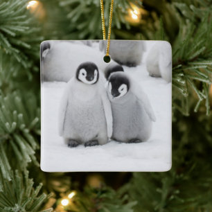 Keizerpinguïnkuikens op het ijs in Antarctica Keramisch Ornament