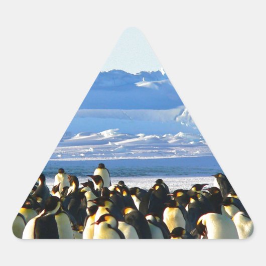keizerpinguïns driehoek sticker (Voorkant)