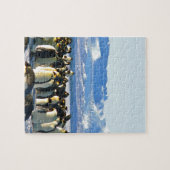 keizerpinguïns legpuzzel (Horizontaal)
