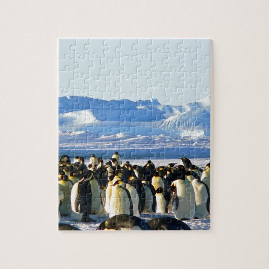 keizerpinguïns legpuzzel (Verticaal)