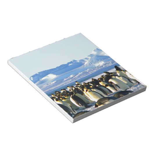 keizerpinguïns notitieblok (Schuin)