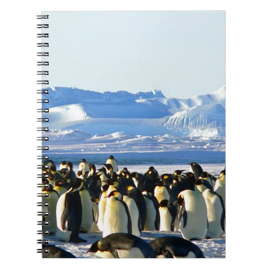 keizerpinguïns notitieboek (Voorkant)