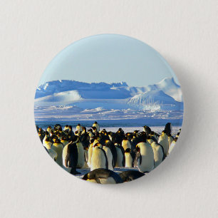 keizerpinguïns ronde button 5,7 cm