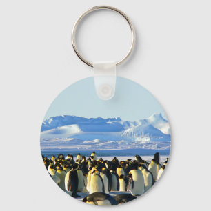keizerpinguïns sleutelhanger