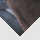 keizerpinguïstisch papier (Detail)