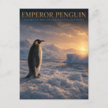 Keizerspinguïn Antarctisch Ijs DIEREN
