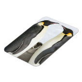 Keizerspinguïns met Chick - magneet (Linkerzijde)