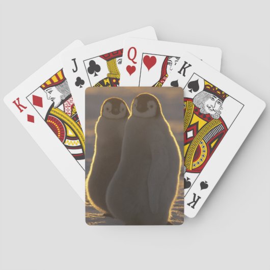 Keizerspinguïns Speelkaarten (Achterkant)