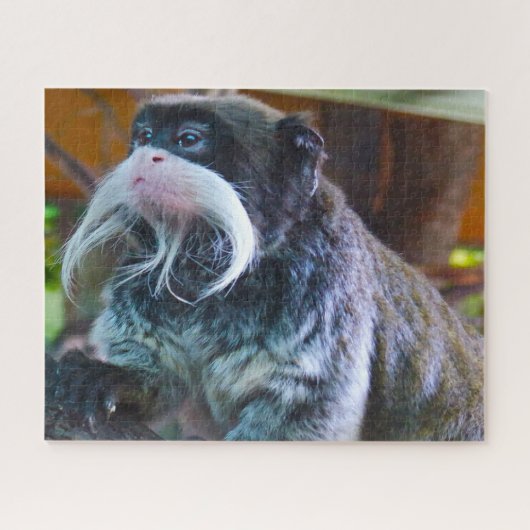 Keizertamarins. Legpuzzel (Horizontaal)