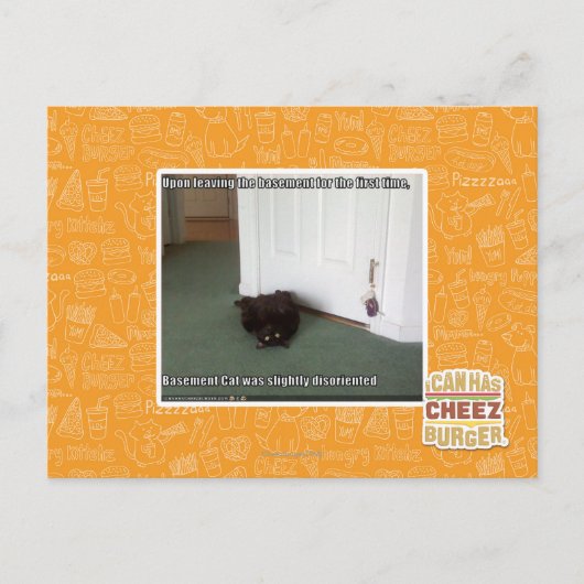 Kelder Kat, licht gedesoriënteerd Briefkaart (Voorkant)