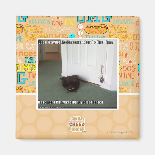 Kelder Kat, licht gedesoriënteerd Magneet (Voorkant)