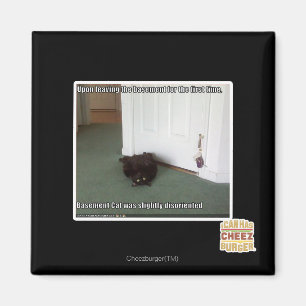 Kelder Kat, licht gedesoriënteerd Magneet