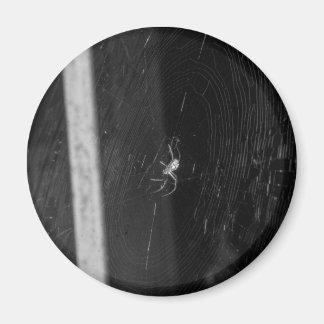 Kelderspin Magneet