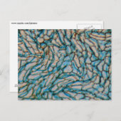 Kellpepercellen onder de microscoop briefkaart (Voorkant / Achterkant)