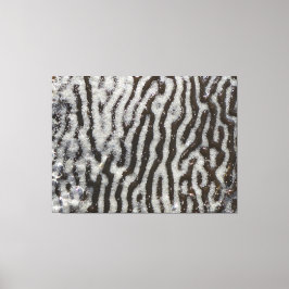 KELP verpakt canvas | m3galleryStudio