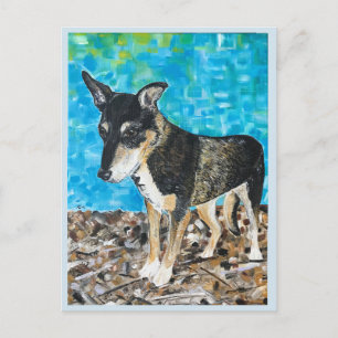 Kelpie dog briefkaart