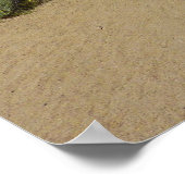 Kelso Dunes in het Nationaal Park Mojave Poster (Hoek)