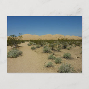 Kelso Dunes in Mojave National Park Briefkaart