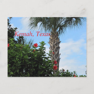 Kemah, Texas-Tropical Palm Briefkaart