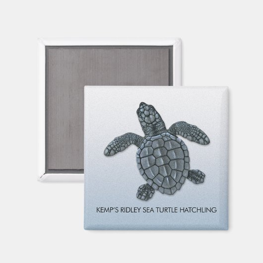 Kemp's Ridley Zee Turtle Hatchling Magnet Magneet (Voorkant / Achterkant)