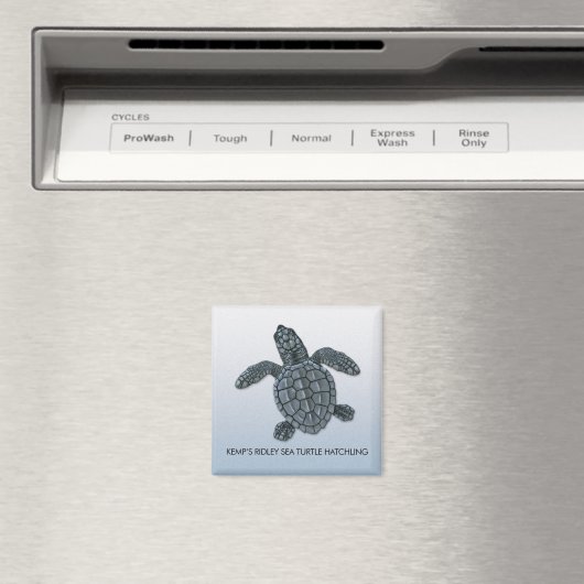 Kemp's Ridley Zee Turtle Hatchling Magnet Magneet (Insitu (Vaatwasser))