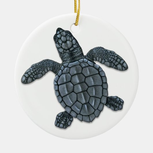 Kemp's Ridley Zee Turtle Hatchling Ornament (Voorkant)