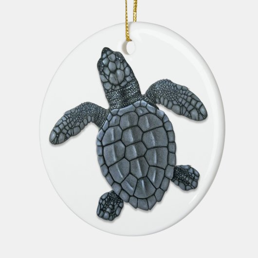 Kemp's Ridley Zee Turtle Hatchling Ornament (Links)