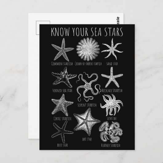 Ken uw Zee sterren - Starvisgroepen Briefkaart (Voorkant / Achterkant)