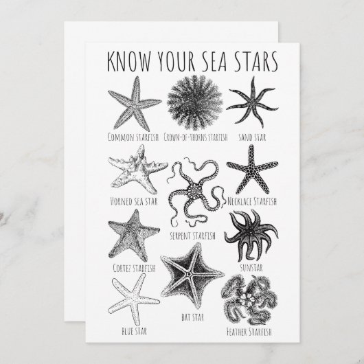 Ken uw Zee sterren - Starvisgroepen Kaart (Voorkant / Achterkant)