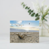 Kenai Beach Alaska - Carte postale (Debout devant)