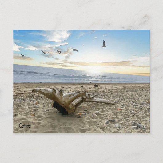 Kenai Beach Alaska - Carte postale (Devant)