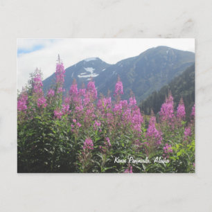 Kenai Peninsula, Alaska Briefkaart