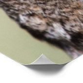 Kendall County, Texas Grote paarden Poster (Hoek)