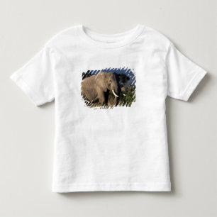 Kenia: Amboseli, mannelijke Afrikaanse olifant Kinder Shirts