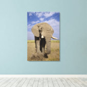 Kenia: Amboseli National Park, alfabet Canvas Afdruk (Insitu (Houten vloer))