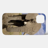 Kenia: Amboseli National Park, alfabet Case-Mate iPhone Case (Achterkant (horizontaal))