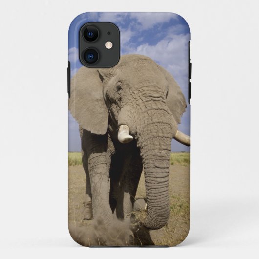 Kenia: Amboseli National Park, alfabet Case-Mate iPhone Case (Achterkant)