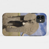 Kenia: Amboseli National Park, alfabet Case-Mate iPhone Case (Achterkant (horizontaal))