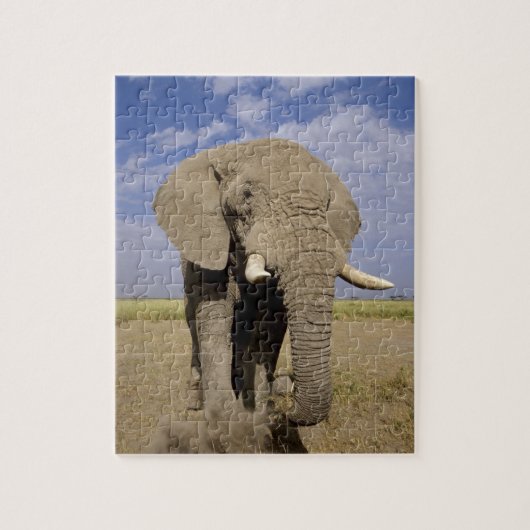 Kenia: Amboseli National Park, alfabet Legpuzzel (Verticaal)