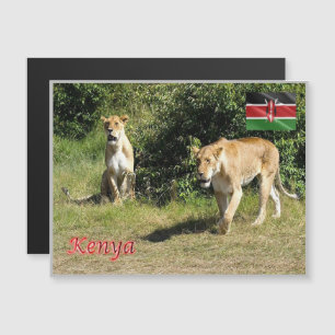 Kenia - Lionesses -