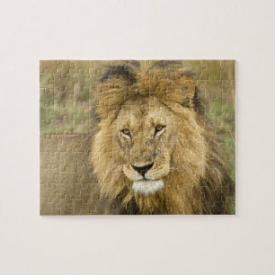 Kenia Masai Mara Legpuzzel